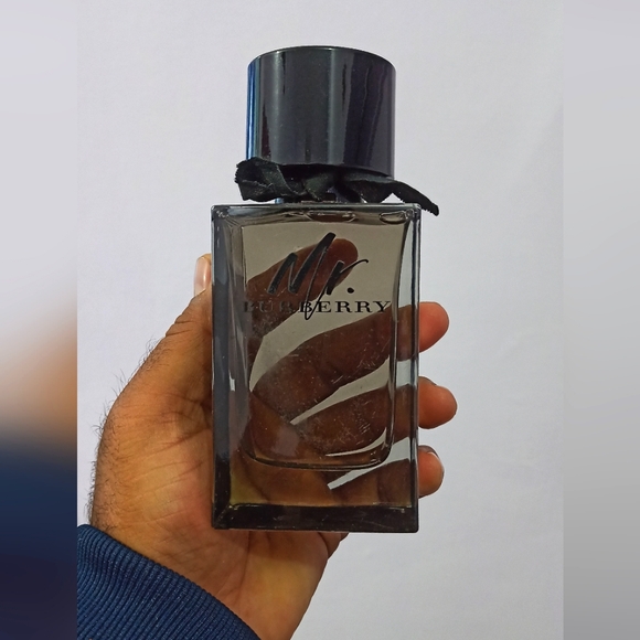 Burberry Other - Mr.Burberry